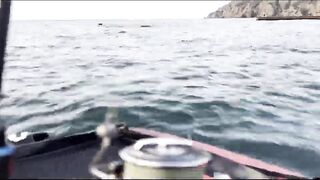 Партенит, Крым. Карась в сентябре у берега