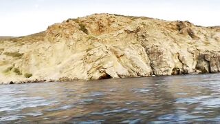 Партенит, Крым. Карась в сентябре у берега