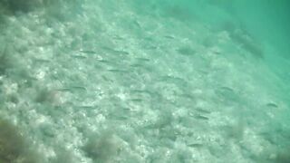 Понизовка, Крым подводная охота у береговой бровки