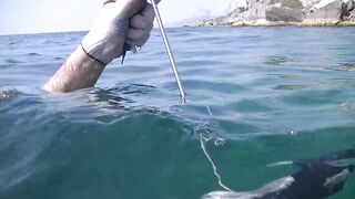 Понизовка, Крым подводная охота у береговой бровки