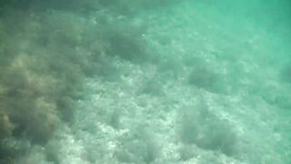 Понизовка, Крым подводная охота у береговой бровки