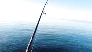 Симеиз, Крым ночной трофей и точки у камней