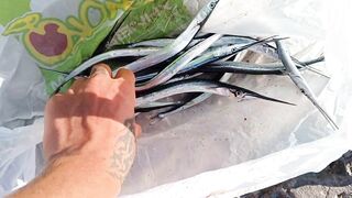 Симеиз, Крым ночной трофей и точки у камней