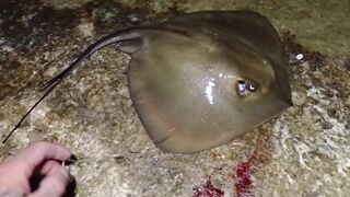 Симеиз, Крым ночной трофей и точки у камней