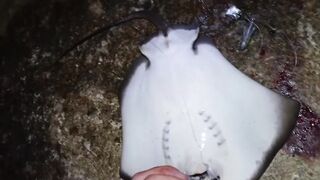 Симеиз, Крым ночной трофей и точки у камней