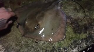 Симеиз, Крым ночной трофей и точки у камней