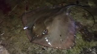 Симеиз, Крым ночной трофей и точки у камней