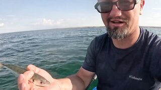 Оленевка и Тарханкут пустые пляжи и зачётная рыбалка