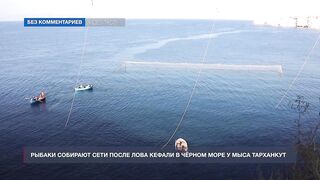 Мыс Тарханкут, Чёрное море кефаль ловят и вялят