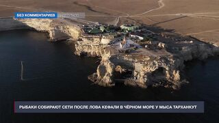 Мыс Тарханкут, Чёрное море кефаль ловят и вялят