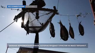Мыс Тарханкут, Чёрное море кефаль ловят и вялят