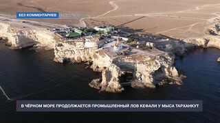 Мыс Тарханкут, Чёрное море кефаль ловят и вялят