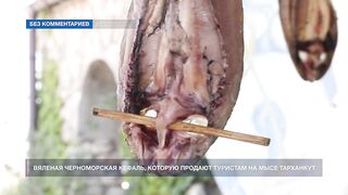Мыс Тарханкут, Чёрное море кефаль ловят и вялят