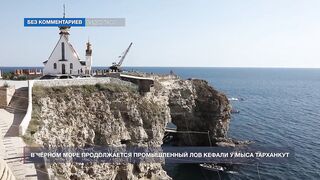 Мыс Тарханкут, Чёрное море кефаль ловят и вялят