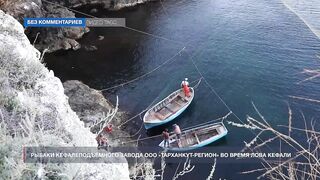 Мыс Тарханкут, Чёрное море кефаль ловят и вялят