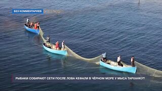 Мыс Тарханкут, Чёрное море кефаль ловят и вялят