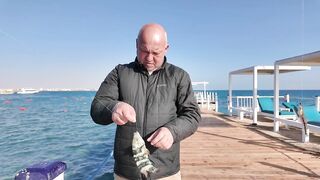 Египет, Хургада - ловля на рифах