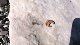 Нижняя Хобза - береговая рыбалка и спокойная вода