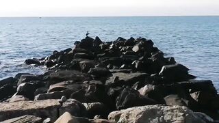 Нижняя Хобза - береговая рыбалка и спокойная вода