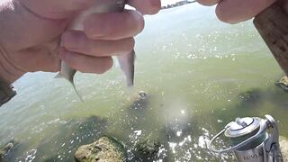 Ейск, Азов. Рыбалка у косы и городской набережной