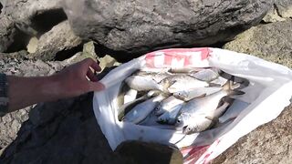 Ейск, Азов. Рыбалка у косы и городской набережной