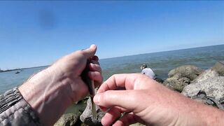 Ейск, Азов. Рыбалка у косы и городской набережной