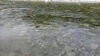 Лазаревское. Псезуапсе и прибрежные точки