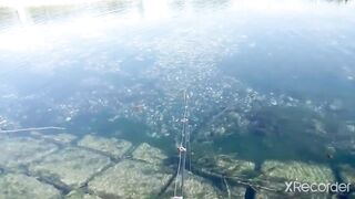 Псезуапсе, Лазаревское. Гольян и поиск форели