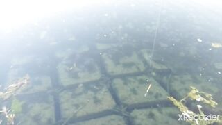 Псезуапсе, Лазаревское. Гольян и поиск форели