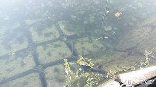 Псезуапсе, Лазаревское. Гольян и поиск форели