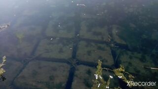 Псезуапсе, Лазаревское. Гольян и поиск форели