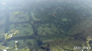 Псезуапсе, Лазаревское. Гольян и поиск форели