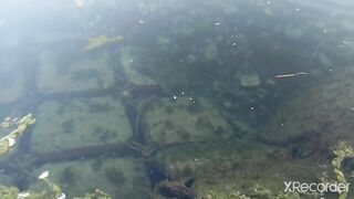 Псезуапсе, Лазаревское. Гольян и поиск форели