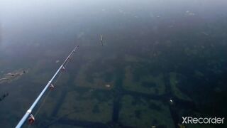 Псезуапсе, Лазаревское. Гольян и поиск форели