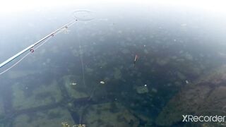 Псезуапсе, Лазаревское. Гольян и поиск форели