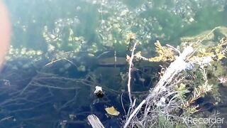 Псезуапсе, Лазаревское. Гольян и поиск форели