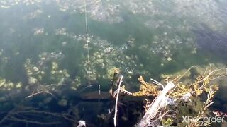 Псезуапсе, Лазаревское. Гольян и поиск форели