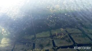 Псезуапсе, Лазаревское. Гольян и поиск форели