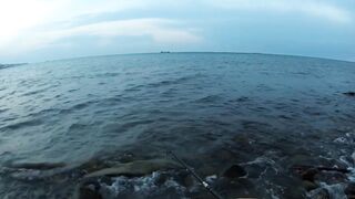 Туапсе, дикий пляж. Удачный вечер рокфишинга