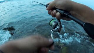 Туапсе, дикий пляж. Удачный вечер рокфишинга