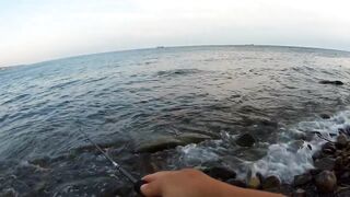 Туапсе, дикий пляж. Удачный вечер рокфишинга