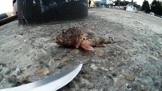 Туапсе, Чёрное море морская рыбалка у берега