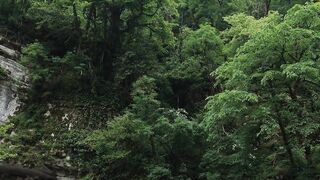 Хоста, Сочи каньон Белые скалы как пройти и где кидать