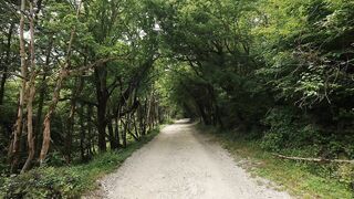 Хоста, Сочи каньон Белые скалы как пройти и где кидать