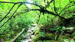 Сочи - поход к Белым скалам и рыбалка у возвратной кромки