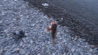 Сукко, Чёрное море: береговая рыбалка, трофей скорпена