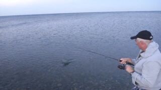 Сукко, Чёрное море: береговая рыбалка, трофей скорпена