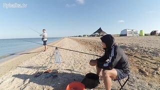 Должанская коса тарань на Азовском море как работает день