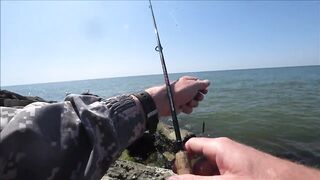 Должанская коса, Азов рыбалка и прогулка вдоль косы