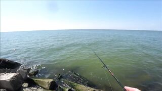 Должанская коса, Азов рыбалка и прогулка вдоль косы